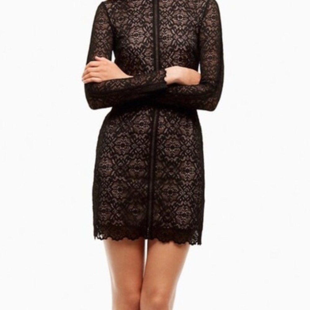 Aritzia Black Lace Long Sleeve Mini Dress